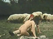Grecki Vintage Owce Prairie Seks