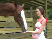 Dziewczyna karmiąca konia